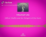 I just posted my first episode! I hope you guys enjoy! (Storytelling, Comedy) Mischief Life Episode 1 - Officer Muffin and the Dangers of the Hunt - Maddison and I make an expensive K turn. (NSFW) from valli serial episode 1