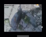 Cell phone video from Parkland school shooter Nikolas Cruz shows the moment after he killed an iguana on February 9th 2018. Five days before he killed 17 people and injured 17 more at his former high school. from succubus school and five days