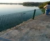 Cocodrilo pasea cadáver de un hombre en la Laguna del Carpintero en Tampico Tamaulipas, presuntamente el hombre ingresó a nadar a la laguna y fue atacado por el animal. from hombre araÃÂ±a beso