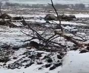 Georgian soldiers fighting on Ukraines side record no mans land in front of their positions, littered with Russian KIA from jabardasti real rape land in village of hiding june chudai bald wali