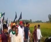Clear video of farmers being overrun by the car and windshields are not broken as said by whole fucking godi media from india romance video