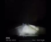Guy in Malaysia drives over the speed limit in a dark highway, then hits a herd of cows from artis malaysia bogel siti nurhaliza