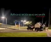 In Moscow a Group of Russians attack a Hijabi with their Dogs from bitch in park wid group of boys mp4