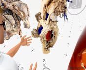 Human Anatomy in VR: The Heart from human anatomy dissection 25