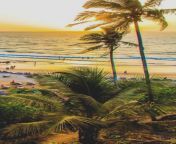 What is Goa very famous for? -Goa is one of the most favorite destination among Indian tourists due to its pristine beaches. Here are the top 5 places to visit in Goa, which you cannot afford to miss on your tour. from honeymoon in goa pissing desi toilet mms 3gp kannada xxx www woman